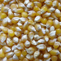 玉米爆花機(jī)產(chǎn)品