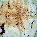 產品圖片2